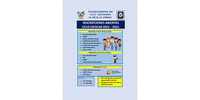 TELESECUNDARIA NUM. 358