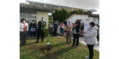 TELESECUNDARIA NUM. 791