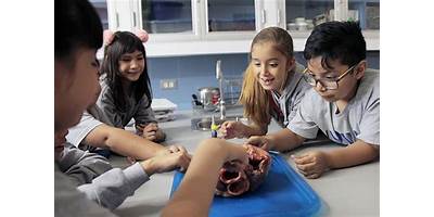 VILLA EDUCATIVA HIGH