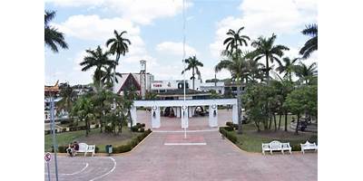 ZAPOTE BUENO