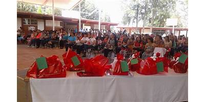 ZAPOTE DE COLORINES