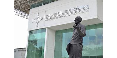 CARLOS PELLICER CAMARA