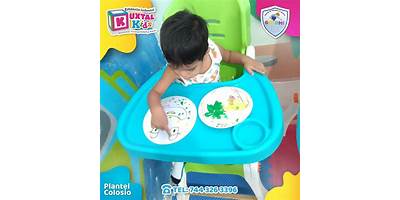 CENTRO DE DESARROLLO INFANTIL ACAPULCO