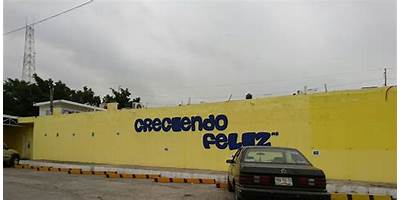 CENTRO DE DESARROLLO INFANTIL CRECIENDO FELIZ, S.C.