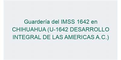 DESARROLLO INTEGRAL LAS AMERICAS A C 319