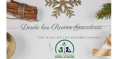 ESTANCIA INFANTIL BARNEY GUARDERIA