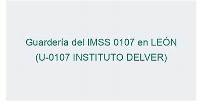 INSTITUTO DELVER