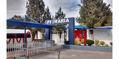 INSTITUTO VIVIR