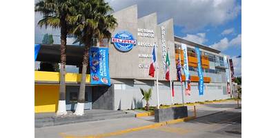 MATERNAL EURO LICEO