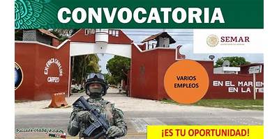 RESPONSABLE DE SECTOR NUM 15