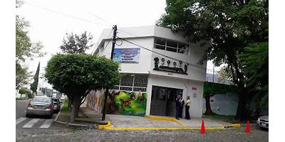 Imagen de la galería