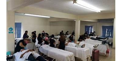 AMEVIE INSTITUTO EDUCATIVO PROFESIONAL
