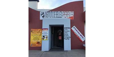 INSTITUTO DE BELLEZA PERFILES