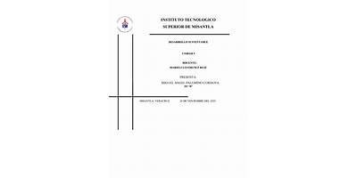 INSTITUTO DE COMPUTACION DE MISANTLA (ICOM)