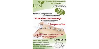 INSTITUTO DE COSMETOLOGIA, SPA Y ESTETICA