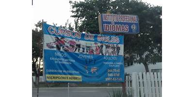 INSTITUTO PROFESIONAL DE IDIOMAS