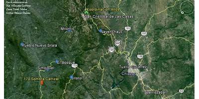 170 SOMBRA CARRIZAL