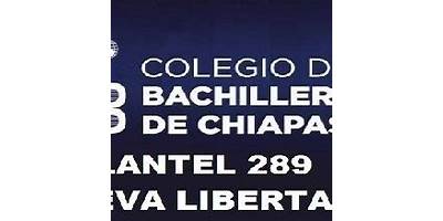 289 NUEVA LIBERTAD
