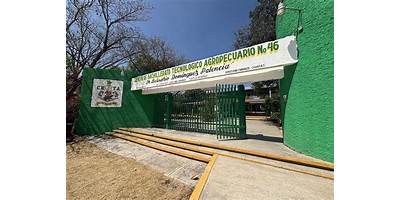 323 DOLORES LAS PALMAS
