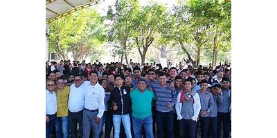 331 SINALOA