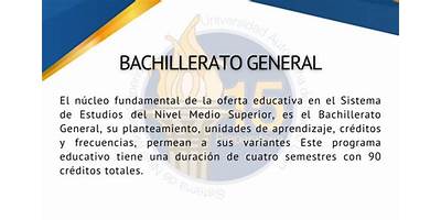 BACHILLERATO 15