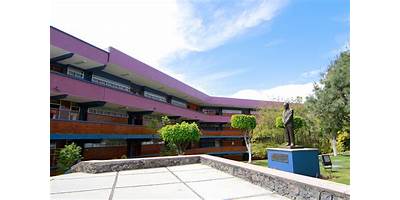 BACHILLERATO UNID LA PIEDAD