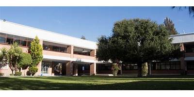 CENTRO ESCOLAR TRIANA