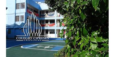 COLEGIO CIPRESES BACHILLERATO