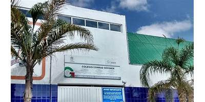 COLEGIO CONRAD GESSNER BACHILLERATO