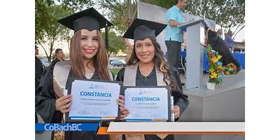 COLEGIO DE BACHILLERES DE BAJA CALIFORNIA LIC. HECTOR TERAN TERAN