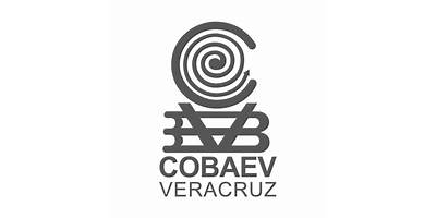 COLEGIO DE BACHILLERES DEL ESTADO DE VERACRUZ PLANTEL 14 TIHUATLAN "LEONARDO PEREZ RIVERA"
