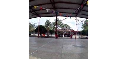 COLEGIO DE BACHILLERES PLANTEL NÚM. 7