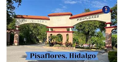COLEGIO DE BACHILLERES PLANTEL PISAFLORES
