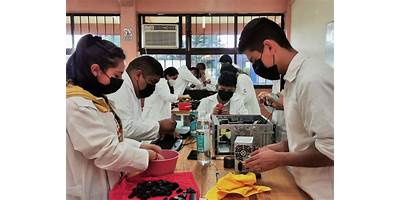 COLEGIO DE ESTUDIOS CIENTIFICOS Y TECNOLOGICOS DEL ESTADO DE HIDALGO PLANTEL PACHUCA