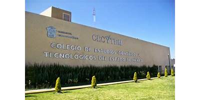 COLEGIO DE ESTUDIOS CIENTÍFICOS Y TECNOLÓGICOS DEL ESTADO DE MÉXICO PLANTEL ECATEPEC III