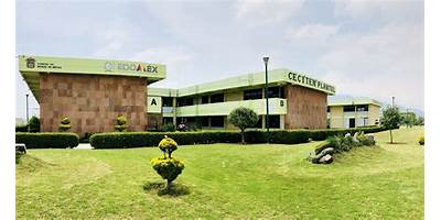 COLEGIO DE ESTUDIOS CIENTÍFICOS Y TECNOLÓGICOS DEL ESTADO DE MÉXICO PLANTEL TENANGO DEL VALLE