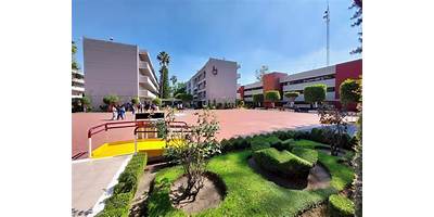 COLEGIO DE ESTUDIOS CIENTIFICOS Y TECNOLOGICOS RICARDO FLORES MAGON