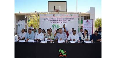"COLEGIO DE ESTUDIOS CIENTIFICOS Y TECNOLOGICOS ""U. POB. C-34 (LIC. BENITO JUAREZ GARCIA)HUIMANGUILLO"