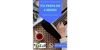 COLEGIO DE FORMACION PROFESIONAL