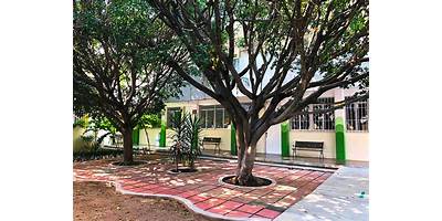 COLEGIO EMILIO ROSENBLUETH