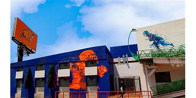 COLEGIO SIGLO XXI