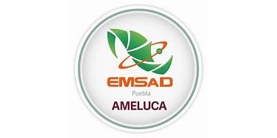 EMSAD PUEBLA, PLANTEL AMELUCA