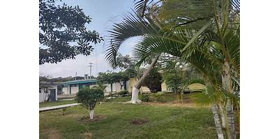 ESCUELA PREPARATORIA AGROPECUARIA EMILIANO ZAPATA SALAZAR