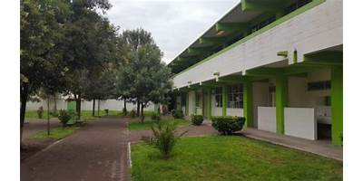 ESCUELA PREPARATORIA OFICIAL NÚM. 243