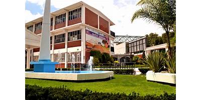 INSTITUTO AMERICANO CULTURAL S. C.
