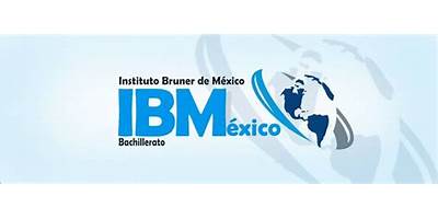 INSTITUTO BRUNER DE MEXICO