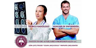 INSTITUTO DE AUXILIARES PROFESIONALES