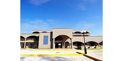 INSTITUTO DE CIENCIAS Y ESTUDIOS SUPERIORES DE MICHOACÁN