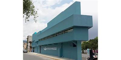 INSTITUTO DE ENFERMERÍA IGNACIO CHÁVEZ A. C.