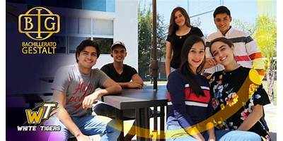 INSTITUTO GESTALT
